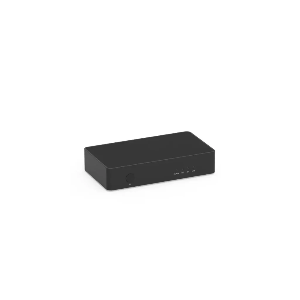 arylic-s10-front-angle